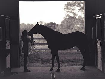 N&uuml;rnberg: Nackter Mann taucht im Reitstall auf - M&auml;dchen reagiert mutig