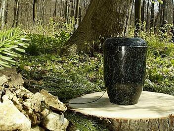 Symbolfoto: Friedwald