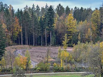 Foto: Ronald Rinklef