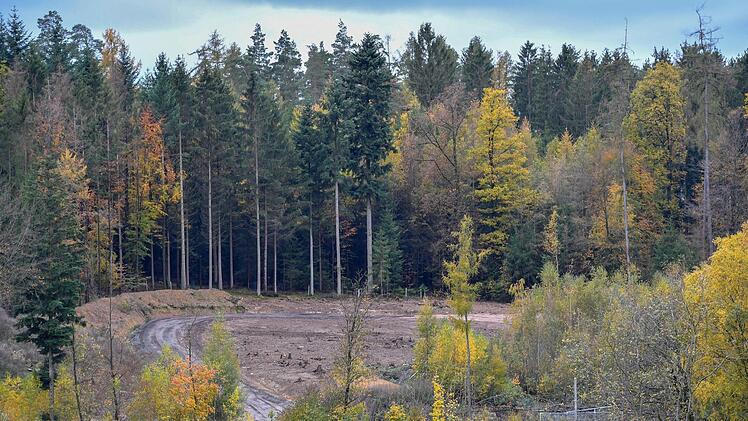 Foto: Ronald Rinklef