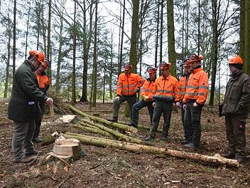 Waldarbeiter werden in Sachen Arbeitssicherheit geschult. Foto: Rainer Lutz