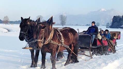Schlitten und Kutsche - für jedes Wetter gerüstet.
