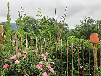 Ein bisschen wild und romantisch - ein Naturgarten bietet viele Lebensräume, in denen es etwas zu entdecken gibt.