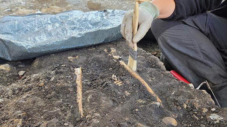 W&uuml;rzburg:  Arch&auml;ologen finden menschliche Knochen auf Festung Marienberg