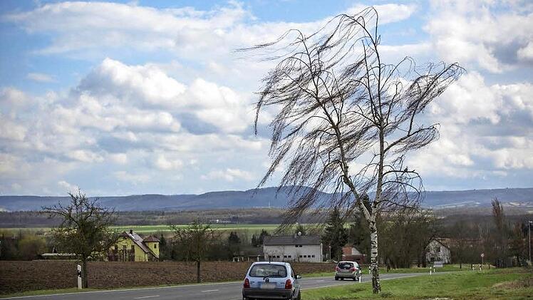 Der Sturm brachte den Baum auf der Uchenhöfer Höhe bei Haßfurt in Schieflage. Der Wind drückte die Äste zur Seite.  Foto: René Ruprecht