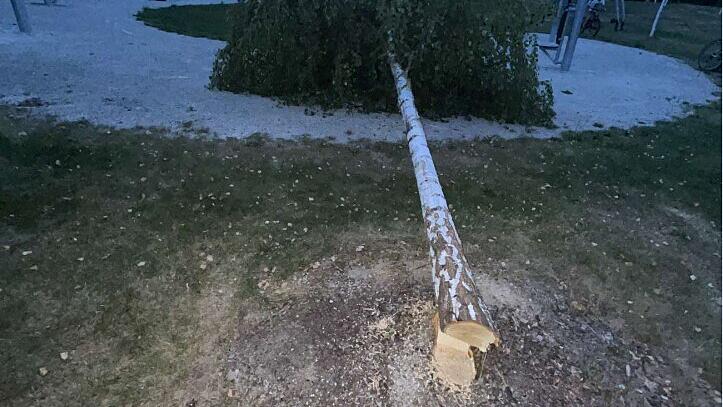 Kreis Kronach: N&auml;chste Vandalismus-Attacke auf fr&auml;nkischen Park