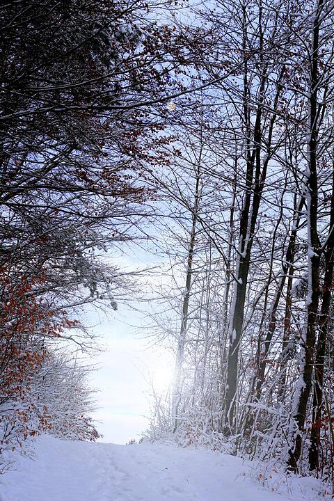 Schnee und Eis - Die schönsten Aufnahmen aus Franken