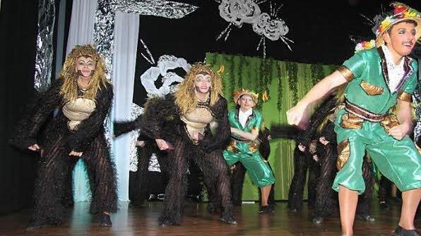 Jedes Jahr denken sich die Maxis einen spektakulären Schautanz aus: Auch als Affen und Forscher sorgten sie für Furore.  Foto: Sonny Adam/Archiv