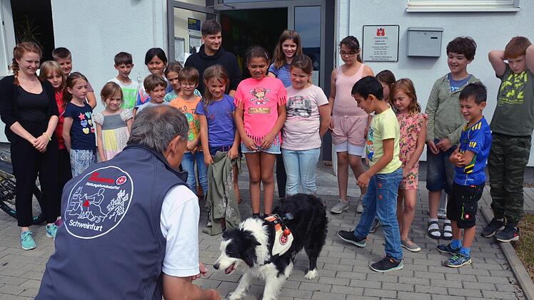 Petty, der Border Collie von Andreas Ebeling ist mit seinen 15 Jahren eigentlich schon Rentner, aber immer noch ein guter Maintrailer und wird gerne vorgeführt. Hier bei Ferienprogramm der Stadt Bad Kissingen im JuKuZ. Foto: Peter Rauch