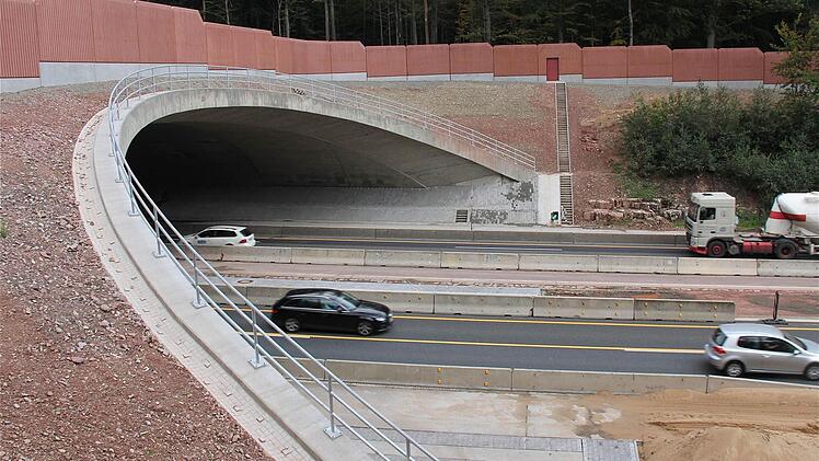 Beim Bau der Grünbrücke über die A7 wurde auch an den Hirschen gedacht. Foto: Gerd Schaar