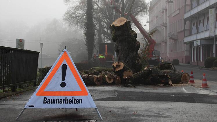 Foto: Benedikt Borst