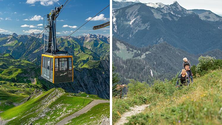 SplitImage 1764336930