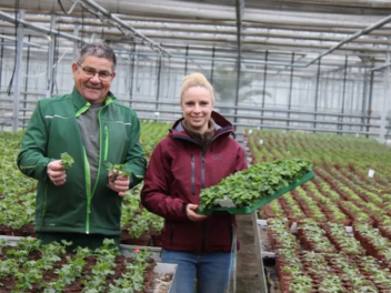 Gärtnerei Degen in Neuenmarkt bietet großes Sortiment an Blumen und Pflanzen im Herbst
