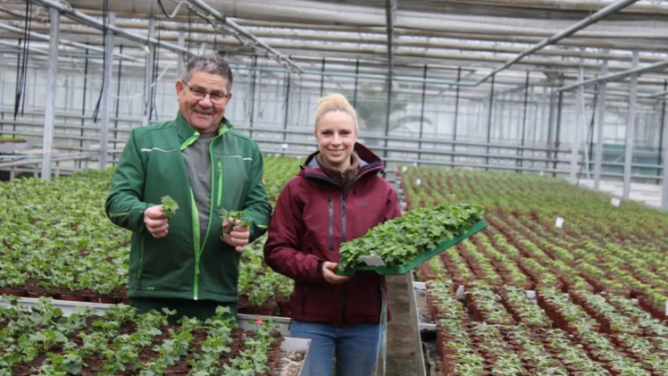 Gärtnerei Degen in Neuenmarkt bietet großes Sortiment an Blumen und Pflanzen im Herbst