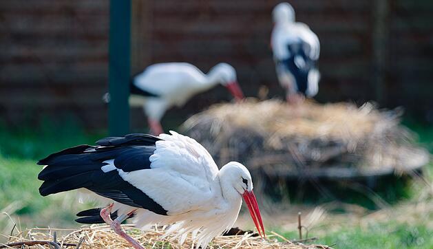 Wetter in Rheinland-Pfalz