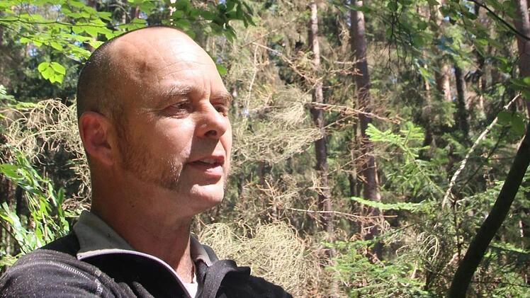 Seit Juli ist die Käferpopulation explodiert, auf Holzfäller Thomas Birklein wartet jede Menge Arbeit.Eckehard Kiesewetter