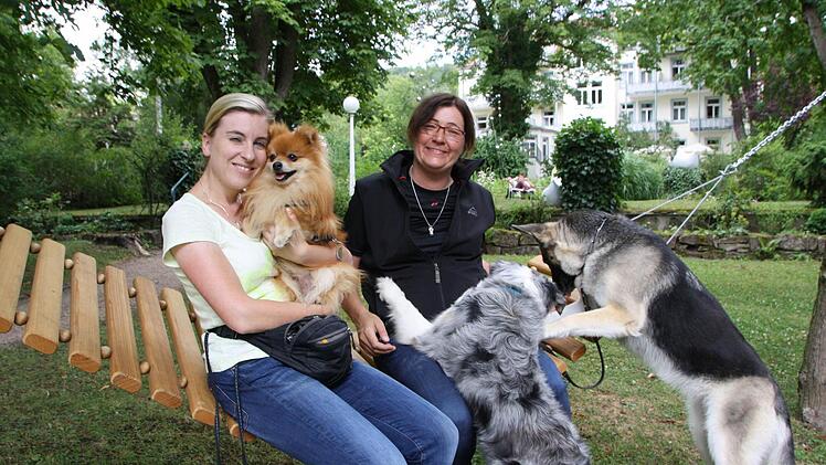 Hundepsychologin Manuela Lieflaender und Tierärztin Christina Schulte-Lohgerber haben sich gemeinsam mit ihren Hunden Samy, Hailey und Fee in Bad Kissingen umgesehen. Foto: Ralf Ruppert