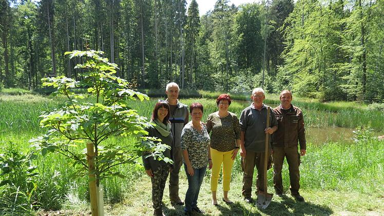 Gruppenbild mit Kastanien-Baum Silke Renninger, Revierleiter Wolfgang Kuhlmann, Brigitte Tokarski, Bürgermeisterin Patricia Schießer, Gemeinde-Arbeiter Bernd Neubig und Winfried Gigla .Doris Bauer