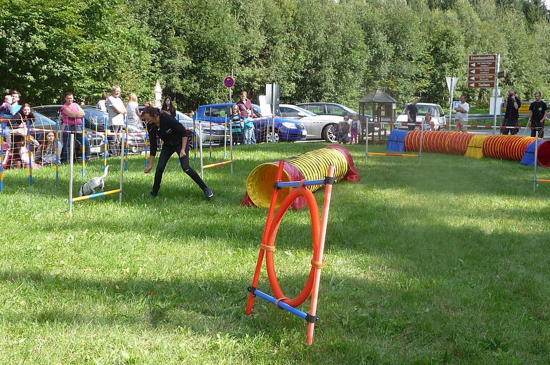 19.8.2017 Tierheimfest Kulmbach