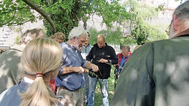 Hans-Joachim Bannier ist Experte f&uuml;r Apfel- und S&uuml;&szlig;kirschensorten. Er h&auml;lt Kurse, durch die man sich auch zum Landschaftsobstbaumpfleger ausbilden lassen kann. Foto: Anna-Katharina Paar