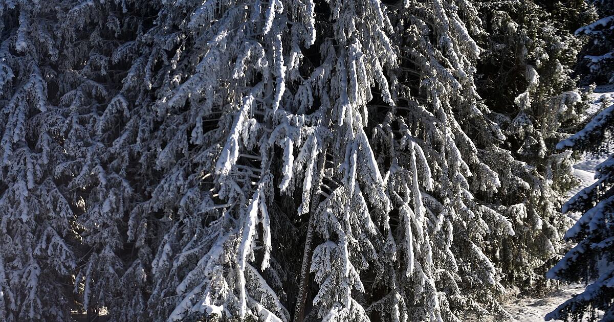 Wei-e-Weihnachten-nur-ein-Mythos-und-bald-eh-Geschichte-