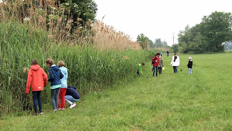Impressionen vom "Earth Day"   Foto: Richard Sänger