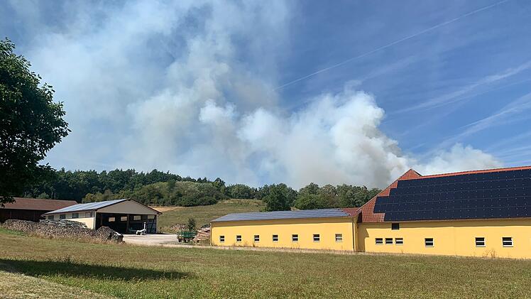 Waldbrand ruft Feuerwehr auf den Plan