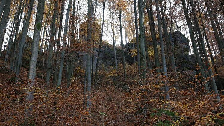 Blick von unten auf den Richard-Wagner-Felsen (Mitte) Foto: Barbara Herbst