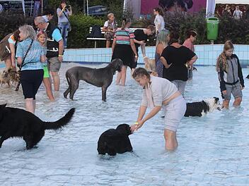Am Samstag nutzten bereits viele Hundehalter das Angebot, mit ihren Vierbeinern schwimmen zu gehen.Foto: Wolfgang Desombre