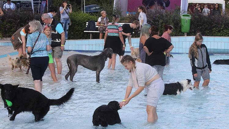 Am Samstag nutzten bereits viele Hundehalter das Angebot, mit ihren Vierbeinern schwimmen zu gehen.Foto: Wolfgang Desombre