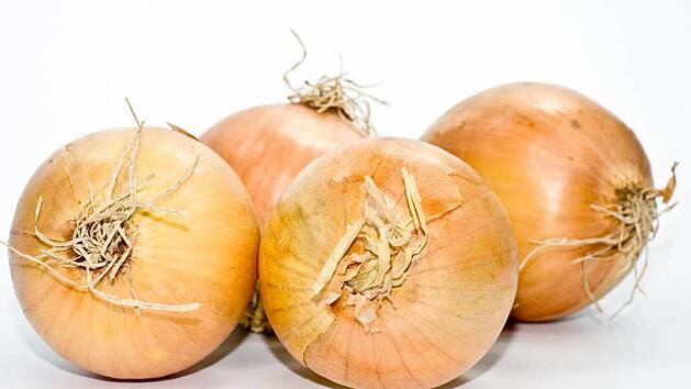 Symbolbild von Zwiebeln (Foto: Kai Remmers)