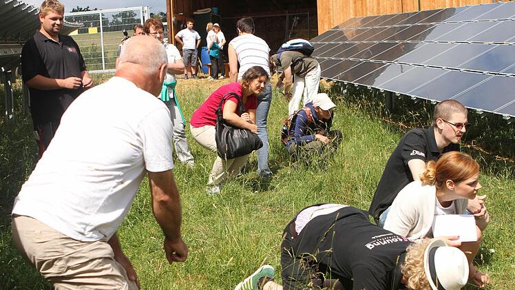 Sie wollten es genau wissen und gingen dafür sogar in die Knie, um die Schafe unter der Solaranlage zu beobachten.