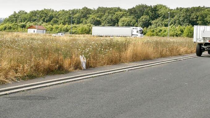 Im Gewerbegebiet Großlangheimer Straße ist genug Platz, um eine Abstellfläche für Lkws zu schaffen, findet die KIK. Die Mehrheit hat das am Donnerstag abgelehnt. Derzeit stellen einige Lkw-Fahrer ihre Fahrzeuge oder Anhänger auf der Straße im Gewerbegebiet ab.  Foto: G. Bauer