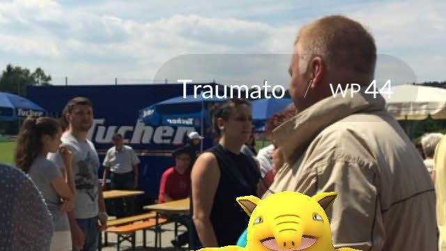 Pokemons auf dem Ziegelhüttener Wiesenfest