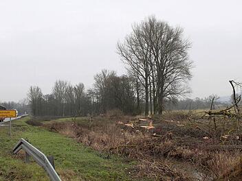 Ende vergangener Woche (noch ohne Schneehaube) begannen an der Abzweigung nach Katschenreuth/Frankenberg die Baumfällarbeiten für die Ortsumgehung Melkendorf entlang der Staatsstraße 2190. Die Gehölze müssen unter anderem einer Behelfs-Trasse weichen, über die der Verkehr während der Bauphase geleitet werden soll. Foto: Jochen Nützel