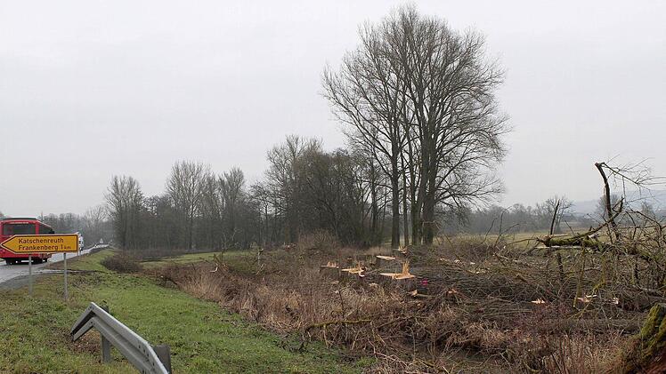 Ende vergangener Woche (noch ohne Schneehaube) begannen an der Abzweigung nach Katschenreuth/Frankenberg die Baumfällarbeiten für die Ortsumgehung Melkendorf entlang der Staatsstraße 2190. Die Gehölze müssen unter anderem einer Behelfs-Trasse weichen, über die der Verkehr während der Bauphase geleitet werden soll. Foto: Jochen Nützel