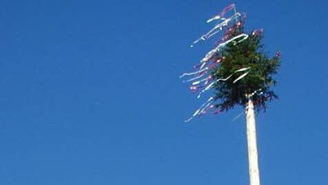 Das Maibaumaufstellen wird schwieriger, zumindest wenn man einen Zuschuss durch die Stadt Kronach erhält. Foto: Karl-Heinz Hofmann