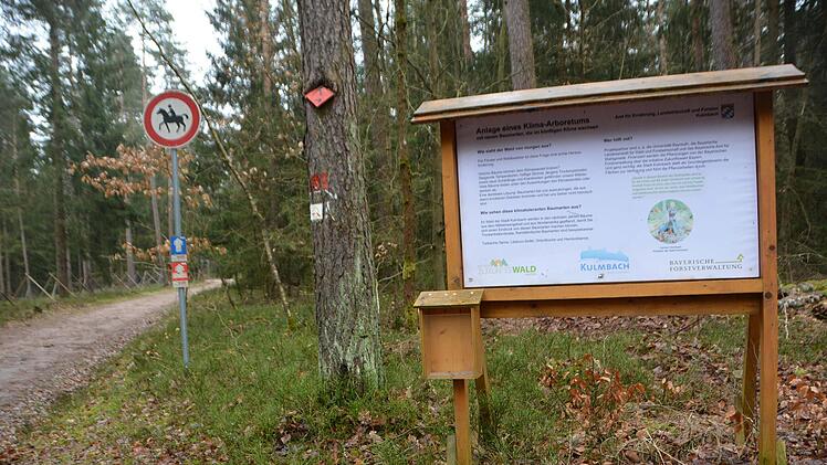 Ein Hinweisschild erklärt  das Kulmbacher Arboretum.