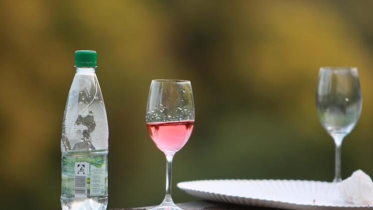 Seiler & Speer begeisterten das Publikum im Schlosshof von Tambach. Foto: Jochen Berger