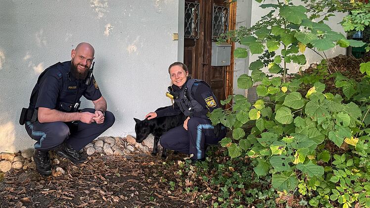 Forchheim: Polizei sucht entlaufene Kuh und ihr Kalb