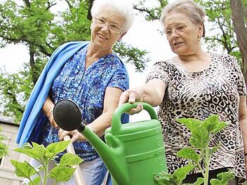 Liselotte Lutz und Helene Schamann sorgen dafür, dass im Rosengarten-Beet kein Pflänzchen den Kopf hängen lässt.  Fotos: Diana Fuchs