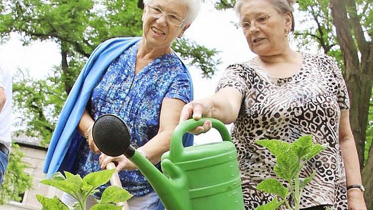 Liselotte Lutz und Helene Schamann sorgen dafür, dass im Rosengarten-Beet kein Pflänzchen den Kopf hängen lässt.  Fotos: Diana Fuchs