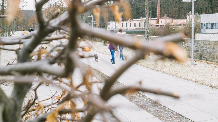 Foto: Marian Hamacher