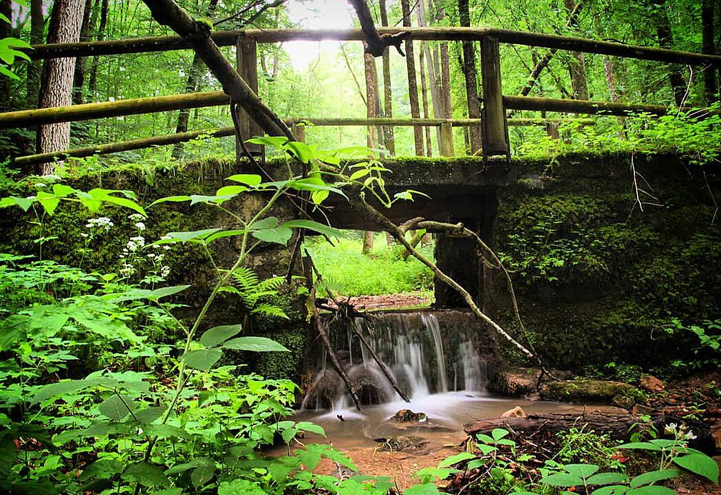 Die schönsten Fotos im Juni aus Bad Kissingen und Umgebung