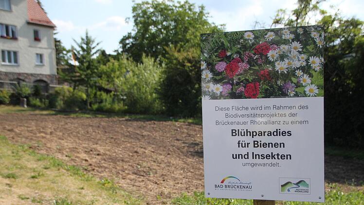 Auch am Parkplatz Obermang hat der Bauhof eine Blühfläche angesät. Foto: Ulrike Müller
