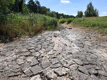 Das Wasser in den Seen und Flüssen wird immer knapper. Einige Flüsse führen extremes Niedrigwasser.  Foto: Patrick Pleul/dpa