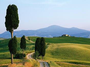 Weg,Wanderweg,Zypressen,Toskana,Monte Amiata,Val d Orcia