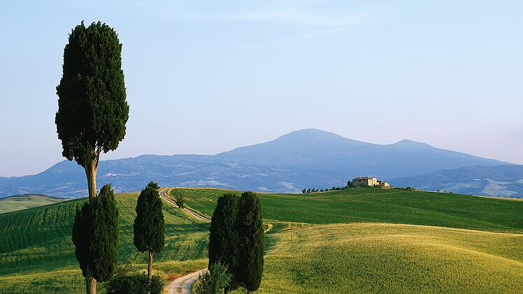 Weg,Wanderweg,Zypressen,Toskana,Monte Amiata,Val d Orcia