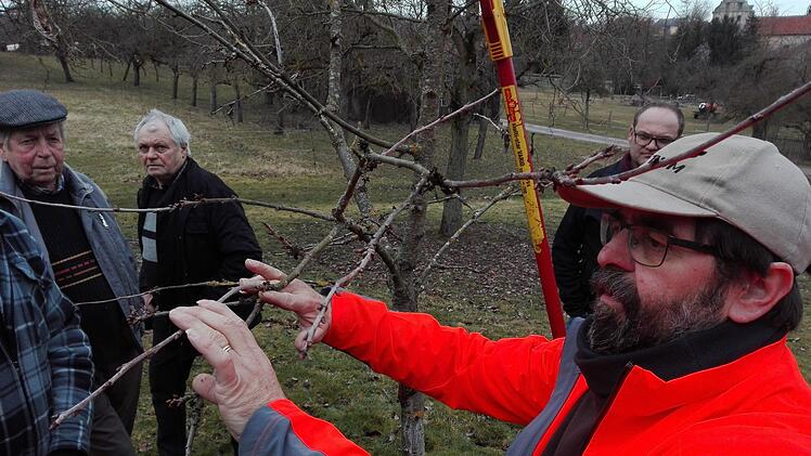 Gerade erst haben die Eigenheimer Ebenhausen einen  Baumschnittkurs organisiert mit Gottfried Röll von der Bayerischen Landesanstalt für Wein- und Gartenbau in Veitshöchheim. Foto: Harald Hannwacker