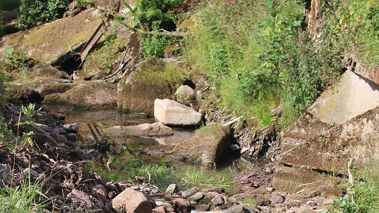 Hier sieht man das alte Flussbett der Sinn. Das Gewässer wurde im Bereich des neuen Pumptracks in Wildflecken umgeleitet.Fotos Sebastian Schmitt